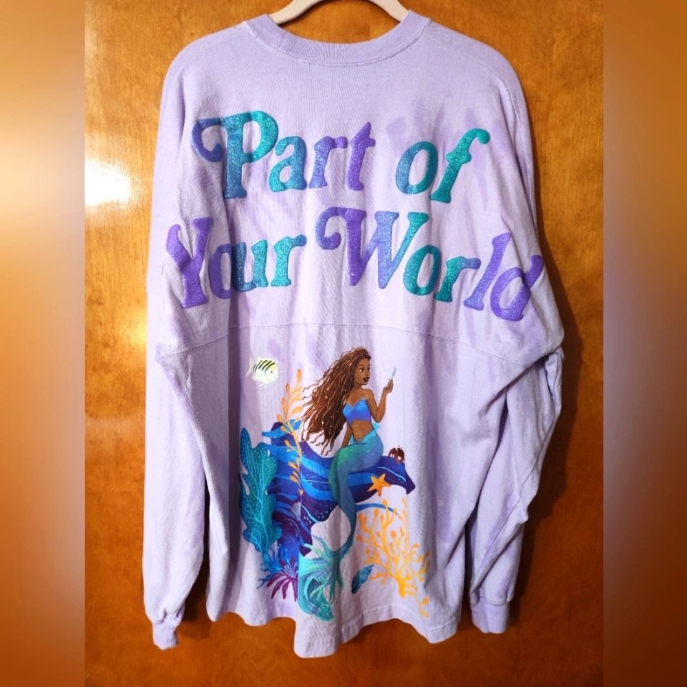 Walt Disney World Spirit Jersey